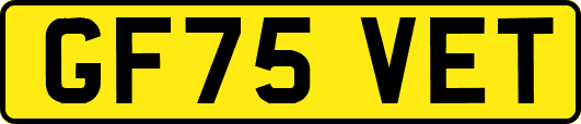 GF75VET