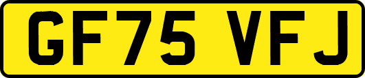 GF75VFJ