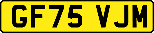 GF75VJM