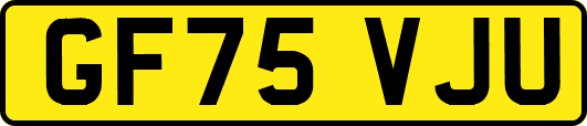 GF75VJU
