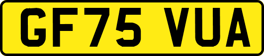GF75VUA