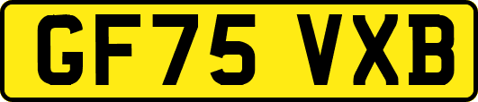 GF75VXB
