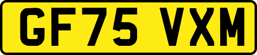 GF75VXM