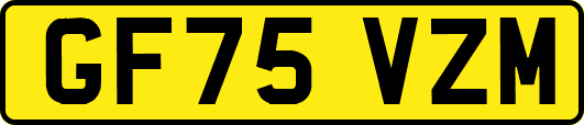 GF75VZM