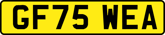 GF75WEA