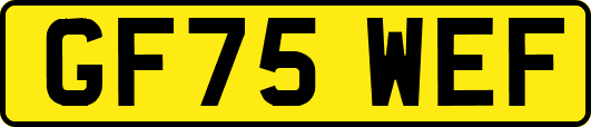 GF75WEF
