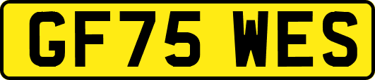 GF75WES