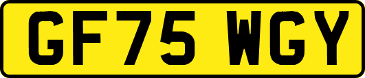 GF75WGY