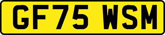 GF75WSM