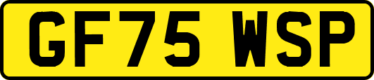 GF75WSP