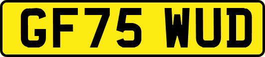 GF75WUD