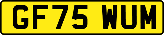 GF75WUM