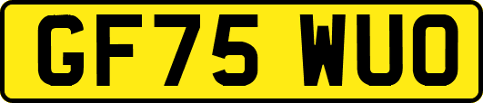 GF75WUO