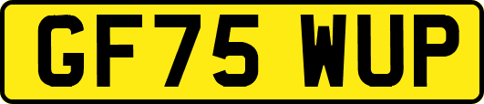 GF75WUP