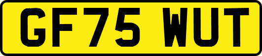 GF75WUT
