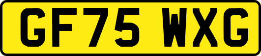 GF75WXG