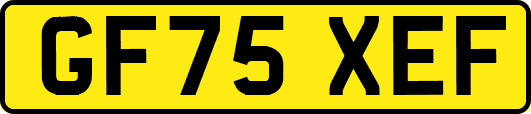 GF75XEF
