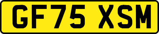 GF75XSM