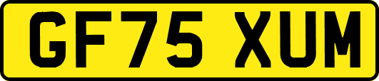 GF75XUM