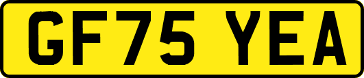 GF75YEA