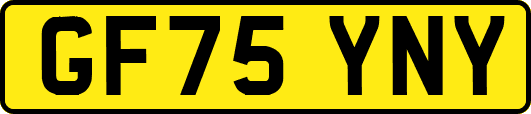 GF75YNY