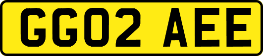 GG02AEE
