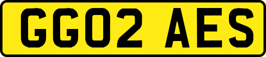 GG02AES