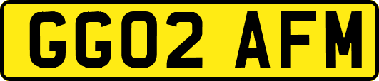 GG02AFM