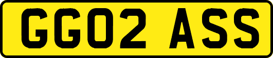 GG02ASS