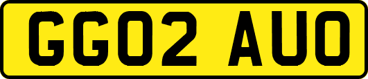 GG02AUO