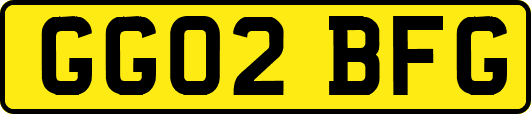 GG02BFG
