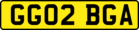 GG02BGA