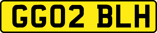 GG02BLH