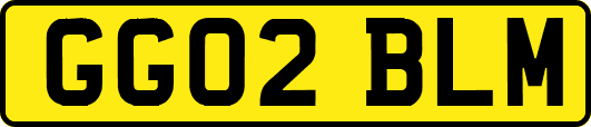 GG02BLM