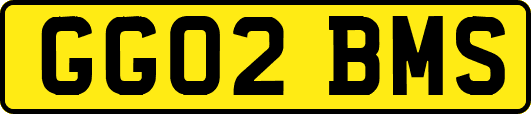 GG02BMS