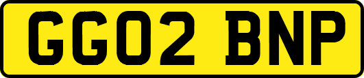 GG02BNP