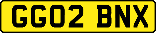 GG02BNX