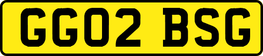 GG02BSG