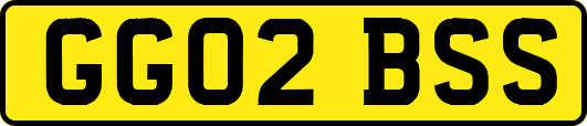 GG02BSS