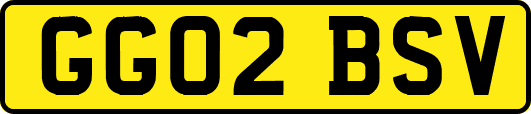 GG02BSV