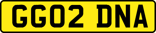 GG02DNA