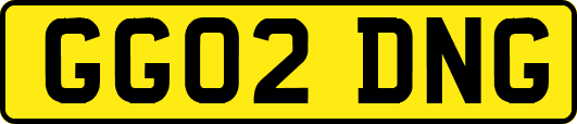 GG02DNG