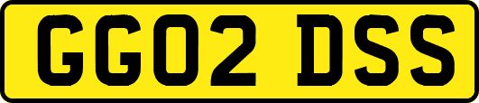 GG02DSS