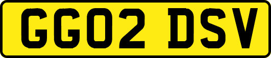 GG02DSV