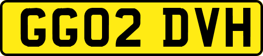 GG02DVH