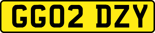 GG02DZY