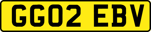 GG02EBV