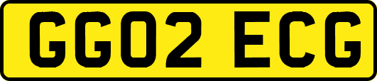 GG02ECG