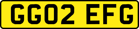 GG02EFG