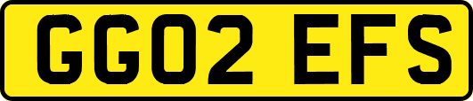 GG02EFS